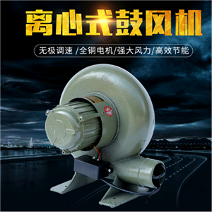 家用小型電動鼓風(fēng)機(jī)220V 低噪音離心式鼓風(fēng)機(jī)