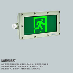 消防應(yīng)急防爆標志燈 消防應(yīng)急燈 應(yīng)急燈